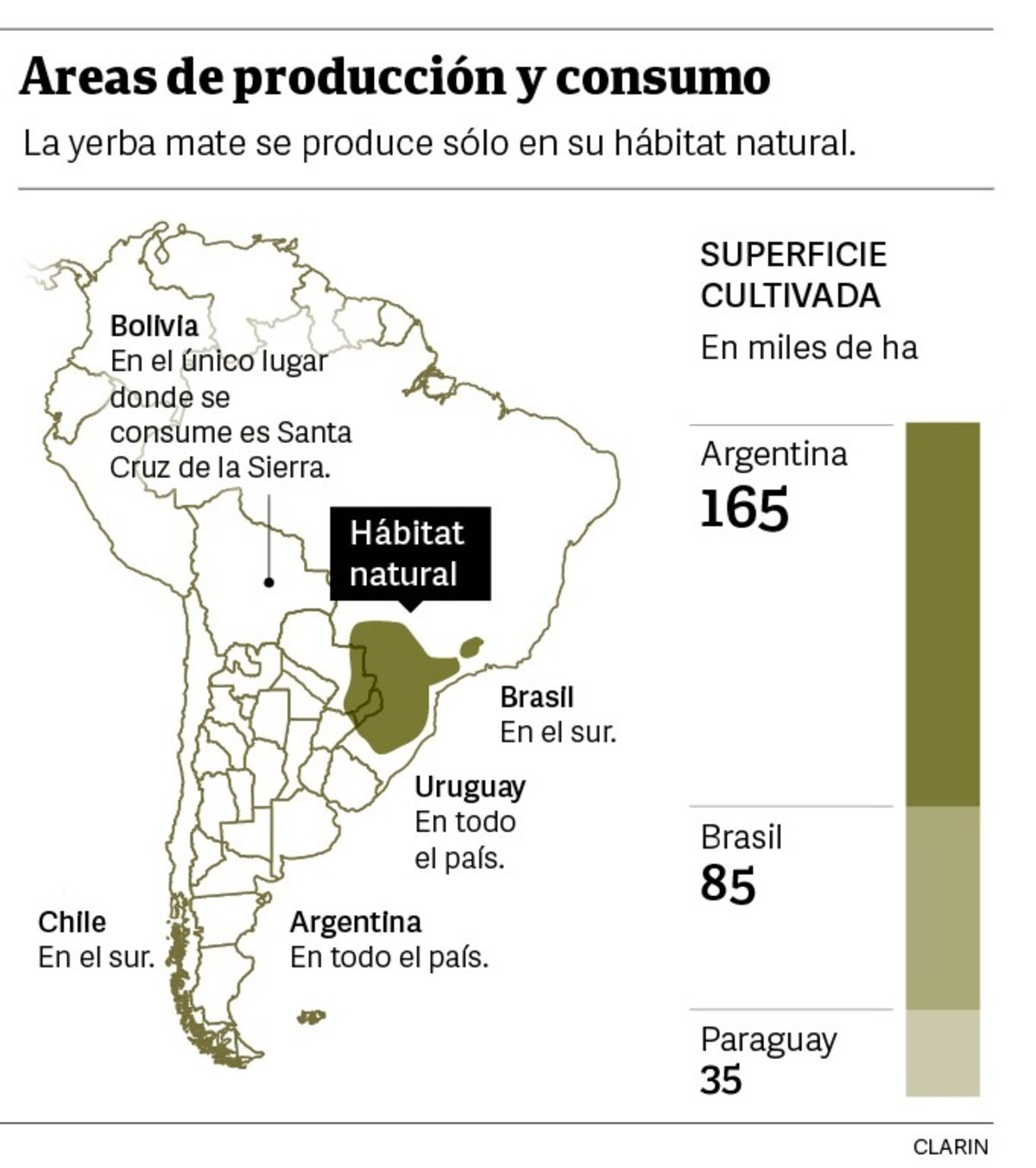 Cuántos kilos de yerba mate consumen los argentinos